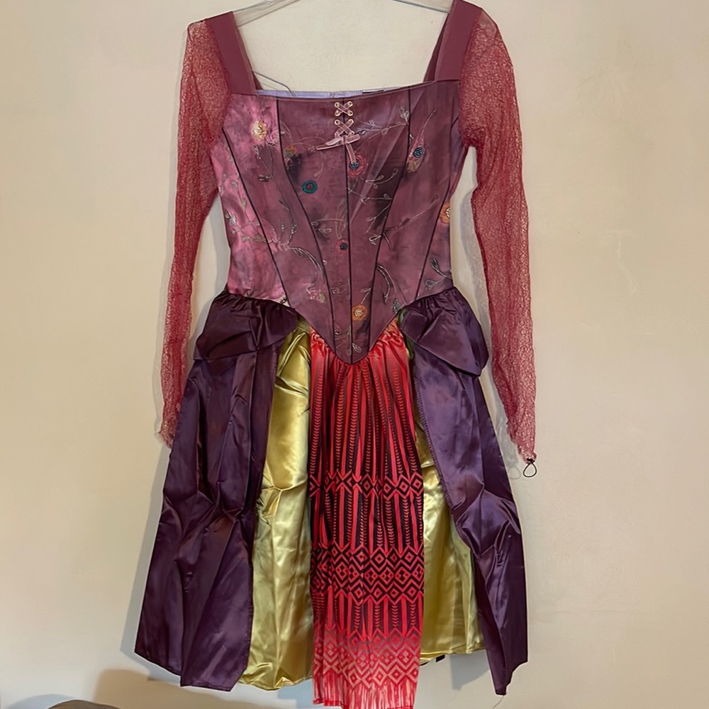 Hocus Pocus Sarah Adult Costume Size S